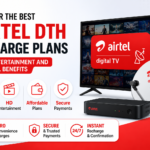 Discover The Best Airtel DTH Recharge Plans With Entertainment And Channel Benefits